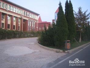 91baby高中大学,高中到大学的青春蜕变之旅