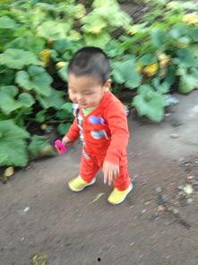 91年正月初一出生命运,岁月如歌，命运璀璨